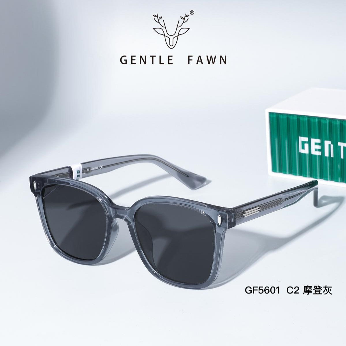 GZ Sunglasses GF5601-C2 (Black/Modern Grey)